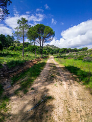 Camino hacia La Peña