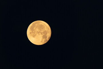The strawberry moon isolated against a dark sky