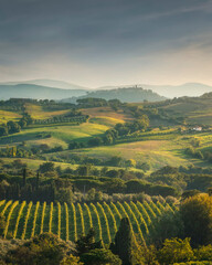 Landscape of the Morellino di Scansano wine vineyards. Tuscany region, Italy