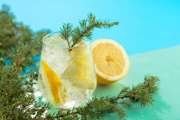 Gin and tonic cocktail with crushed ice and lemon slices.