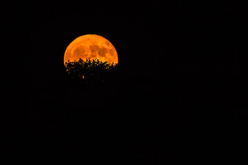 Astroaufnahme des Vollmondes, auch Erdbeermond genannt, am 11 Juni 2025.