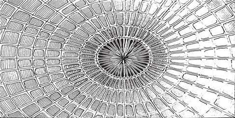 Circular texture. Distressed uneven grunge background. Abstract vector illustration. Overlay to create interesting effect and depth. Isolated on white background. EPS10.