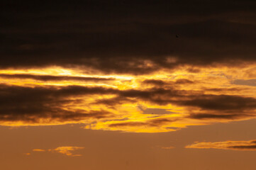 Golden Sunset Clouds
