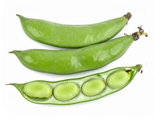 Broad Beans on Isolated White Background – Large Flat Pods with Pale Green Seeds and Rustic Presentation