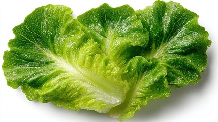 A fresh head of crisp green lettuce with vibrant leaves and dewy droplets, showcasing its natural beauty and freshness