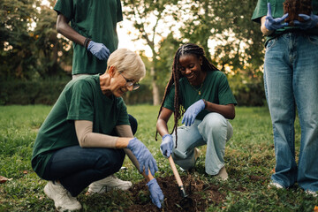 Group of volunteers planting a tree in a park