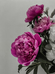 bouquet of pink roses