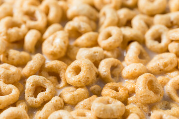 Healthy Round Oat Breakfast Cereal