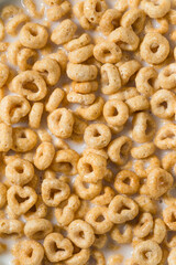 Healthy Round Oat Breakfast Cereal