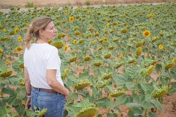 blonde woman wearing jeans and a white t-shirt walking through a field of sunflowers
