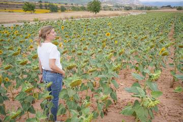 blonde woman wearing jeans and a white t-shirt walking through a field of sunflowers