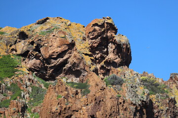 Réserve de Scandola, Corse