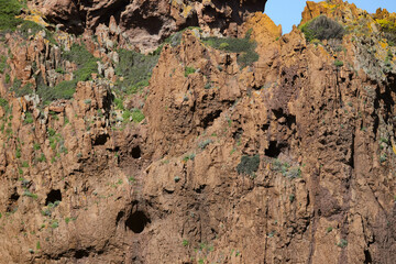 Réserve de Scandola, Corse