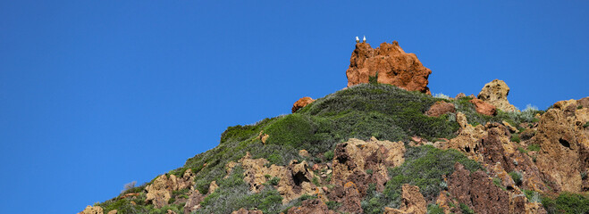 Réserve de Scandola, Corse