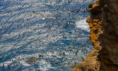 Bonifacio, Corse du Sud