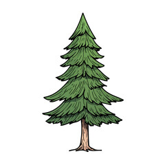 Chilean Pine Tree Doodle vector 2D flat illustration, isolated on a white background.
