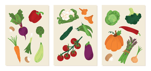 Vegetable posters set with assorted fresh vegetables like tomato, beetroot, pepper, broccoli, mushrooms, carrot, cabbage, pumpkin, and more. Perfect for healthy food design, menus, packaging.