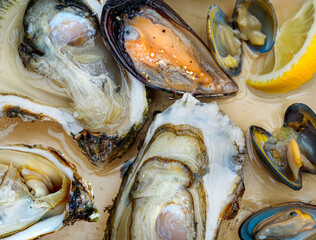 Several open oysters, mussels and small sea clams in a plate, seafood background, top view. Assortment of freshly caught of sea molluscs in an oyster farm in Southern France coastal cafe.