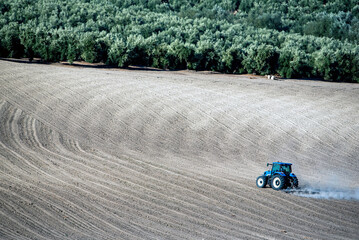 Tractor Plowing a Field with Olive Grove in the Background
