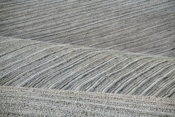 Organic Lines on Cultivated Earth