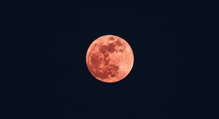 Strawberry moon full in dark night sky. Mystical celestial event. Lunar eclipse with red or orange globe. Astronomy and space.