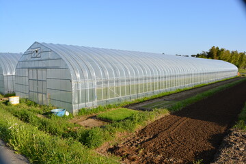 農業用ビニールハウス