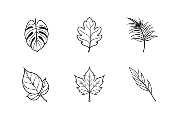 Minimalist Black and White Line Art Icon Collection of Various Botanical Plant Leaves for Nature Design