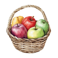 watercolor vector of Mammee Apple Fruit Basket, isolated on a white background.