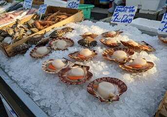 Fresh Shellfish and Seafood Displayed on Ice at Vibrant Market Stall During Daytime in Coastal City