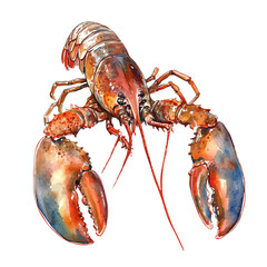 Lobster, watercolor clipart vector, isolated on a white background.