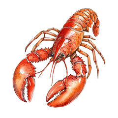 watercolor vector of Lobster, isolated on a white background.