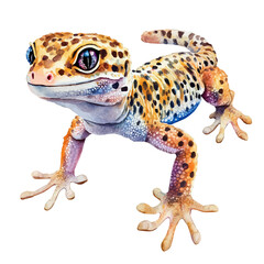 Leopard Gecko, watercolor illustration vector, isolated on a white background.
