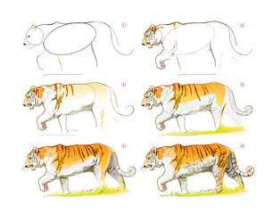 How to learn to draw a sketch of an imaginary Bengal tiger. Creation step by step watercolor painting. Educational page for artists. Textbook for developing artistic skills. Vector illustration.