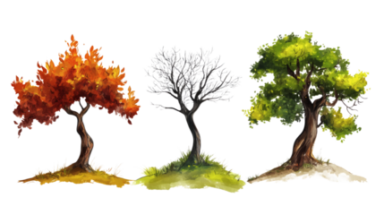 realistic image of tree in 3 different seasons  isolated on transparent background
