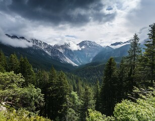 Obraz premium cloudy mountains and expansive forest view