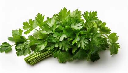 Fototapeta premium fresh bunch of parsley on white background