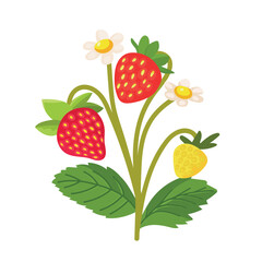 Strawberry. Flat vector clipart, illustration with isolated background.
