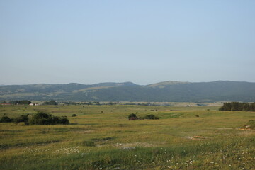 Fototapeta premium Wide panoramic view of a tranquil rural landscape featuring expansive green meadows dotted with wildflowers, scattered bushes, and a few small houses on the horizon
