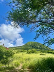 Obraz premium landscape with blue sky