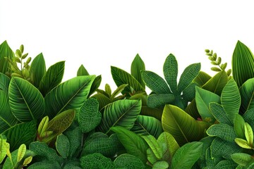 Lush green foliage border