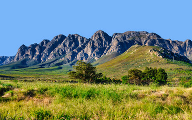 Lush meadow at the foothills of the Waaihoek Mountains, Breedekloof, South Africa