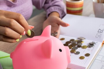 The Importance of Saving Money Using a Piggy Bank and Effective Budgeting Techniques