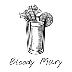 Hand-drawn vector illustration of Bloody Mary cocktail with celery and ice in tall glass. Retro bar sketch perfect for brunch menu, spicy drinks, or alcohol design.