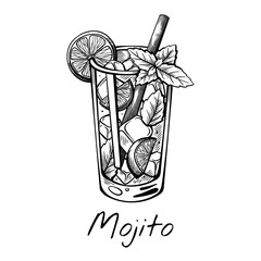 Hand-drawn vector illustration of Mojito cocktail with mint, lime, and ice in highball glass. Classic summer drink sketch perfect for bar menu, tropical design, or blog.