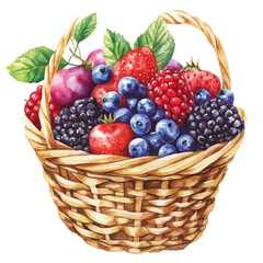 Summer Berry Fruit Basket, watercolor painting vector, isolated on a white background.