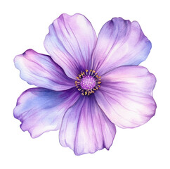 Naklejka premium PNG Purple summer flower petals illustration watercolor.