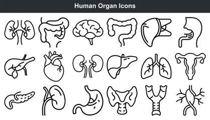 Human Organ Icons Black Line Art Set