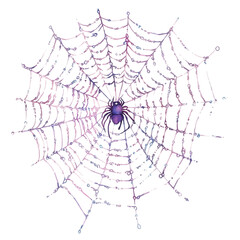 Obraz premium watercolor of Spider Webs, vector, isolated on a white background.