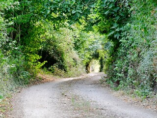 Country road near the Barbarano Romano village. Viterbo, Lazio region, Italy