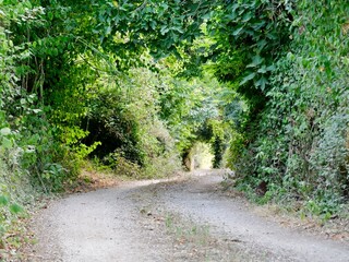 Country road near the Barbarano Romano village. Viterbo, Lazio region, Italy